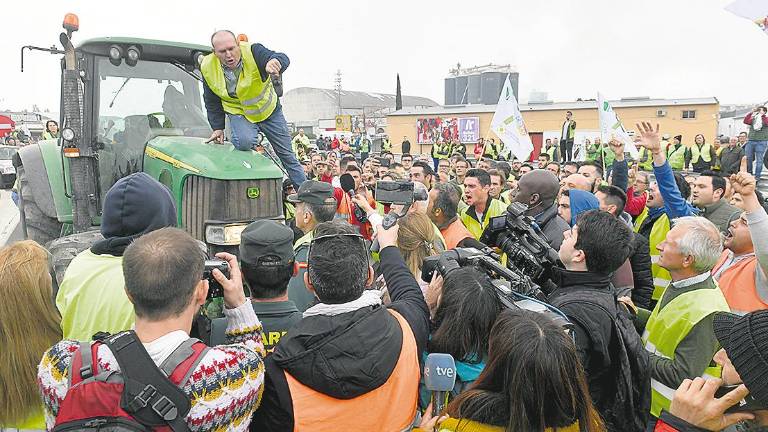 Pasado, presente y futuro se hermanan por el aceite