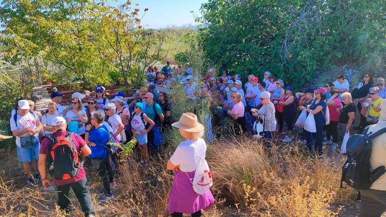 Más de 200 personas conmemoran el Día de las Personas Mayores con una ruta de senderismo