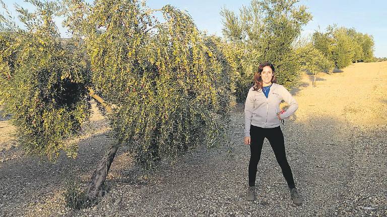 “Lo que más me motiva es vender mi propio aceite algún día”