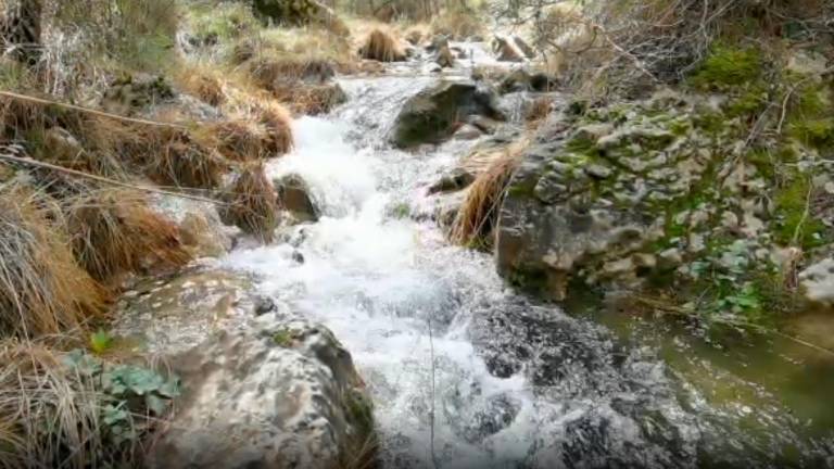 La lluvia se deja notar en el Parque Natural de Cazorla, Segura y Las Villas: vea este vídeo
