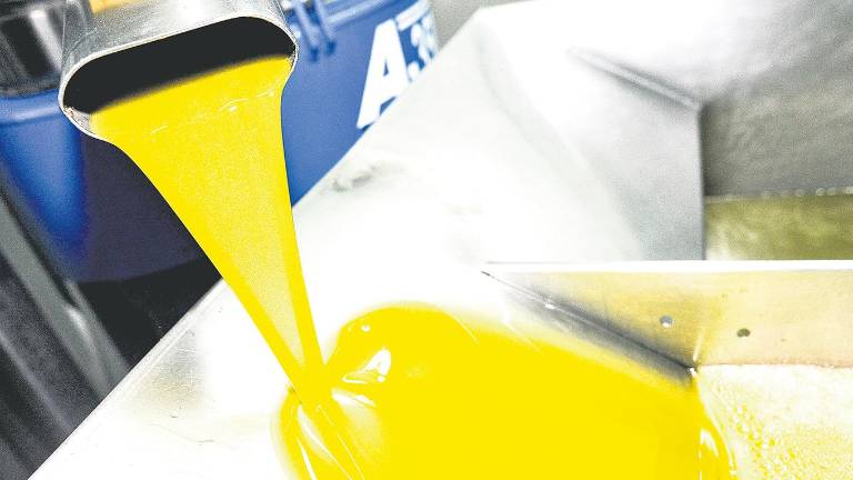 Los rendimientos del aceite superan los del año pasado