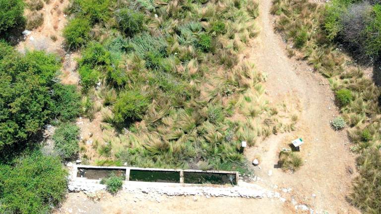Lugares singulares, únicos, maravillosos y fresquitos: Caño del Aguadero, historia y vida de siempre