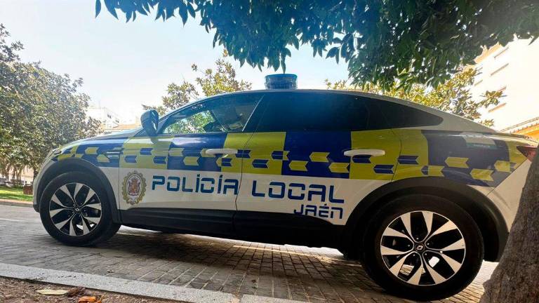 Detenido en Jaén al presunto autor de los robos en comercios de Jaén