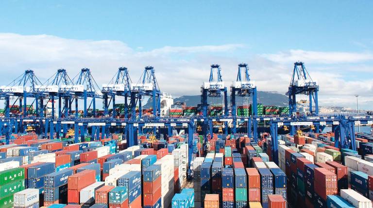 <i>Contenedores de productos andaluces listos para ser exportados en el Puerto de Algeciras.</i>