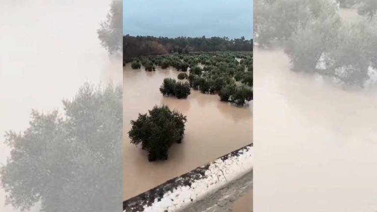Impresionantes estragos causados por el Guadalquivir a su paso por Villanueva de la Reina