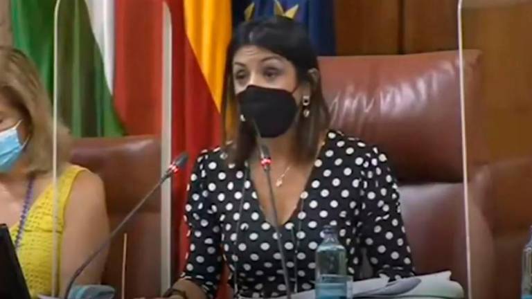 Una rata en el Parlamento andaluz provoca revuelo entre los diputados