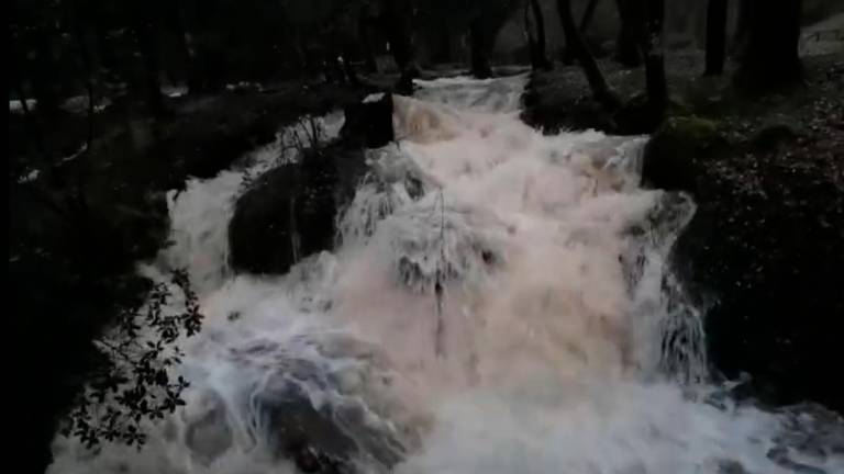Así está el arroyo Huerta Vieja, en Hornos de Segura