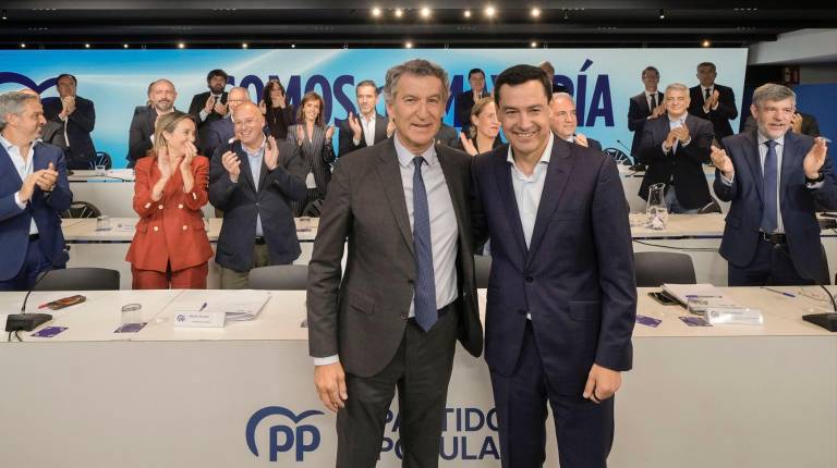 <i>Alberto Núñez Feijóo y Juanma Moreno en la Junta de la Directiva Nacional del Partido Popular.</i>