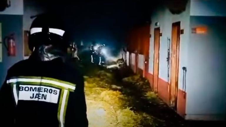 Bomberos de Jaén sofocan un fuego en una nave que almacenaba paja