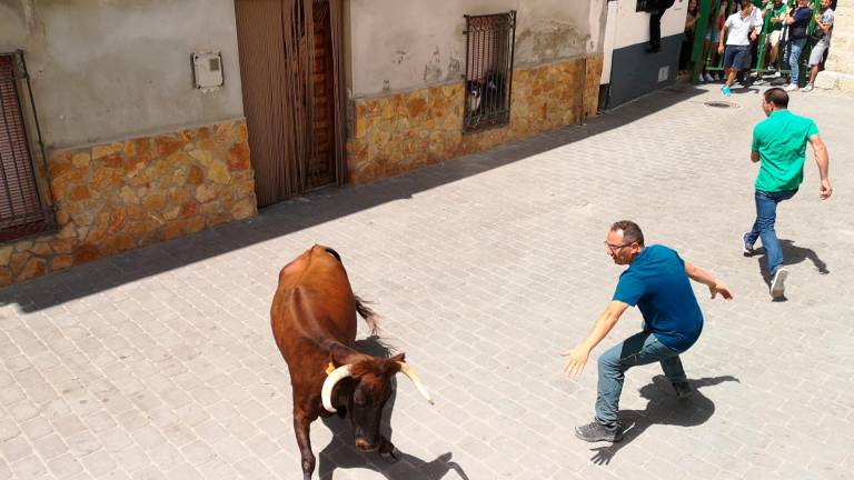 Mucho arrojo ante las reses