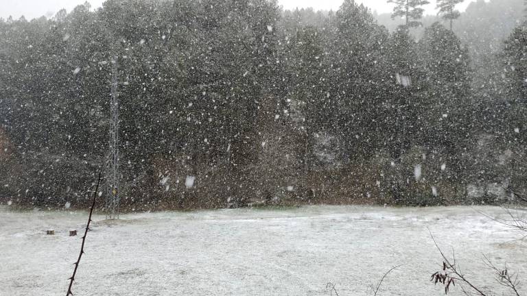 Copiosa nevada en la Cumbre de Pontones