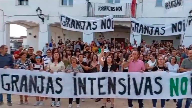 Celebración de una manifestación convocada por la plataforma. 