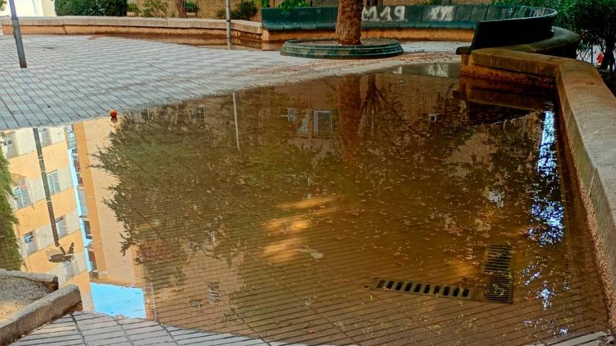 “Passo” traza un proyecto para mejorar la imagen de “El Valle”
