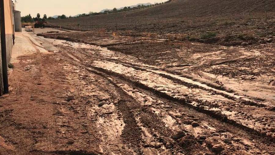 Peal de Becerro: Barro, lluvia y lodo tras una noche de tormentas