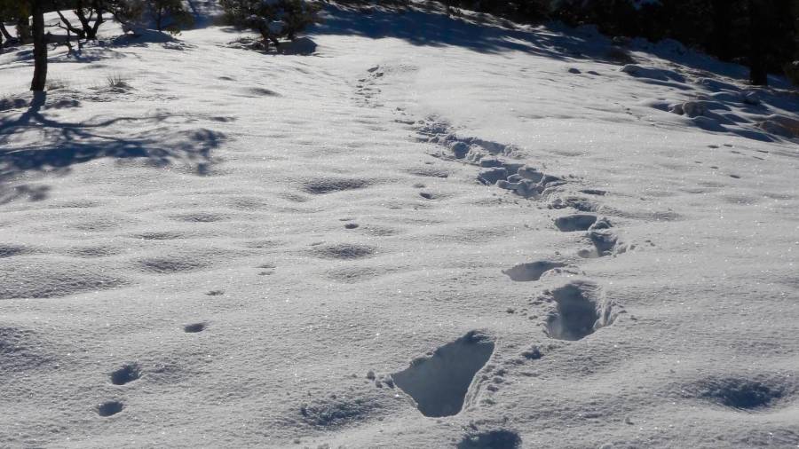 $!<i><b>NIEVE.</b></i><i> Los caminos de Jaén parecen venir siempre marcados.</i>