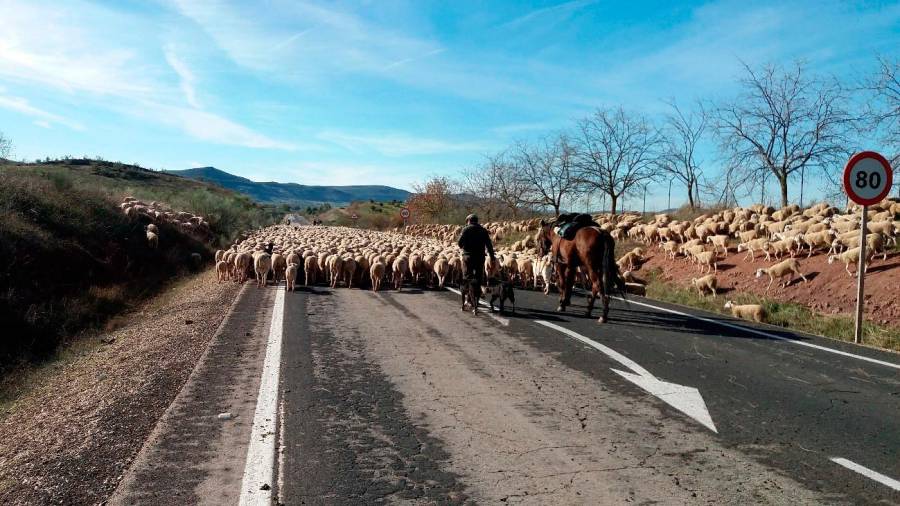 <i>Por la calzada de la carretera A-312 (Linares-Albacete).</i>