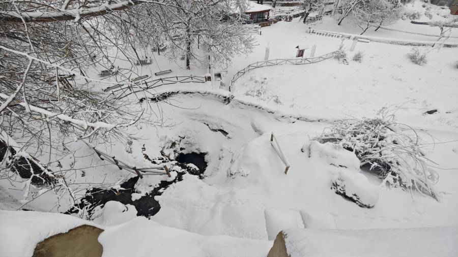 <i>El manantial segureño cubierto por un manto de nieve, pero sin agua, a 24 de enero de 2026.</i>