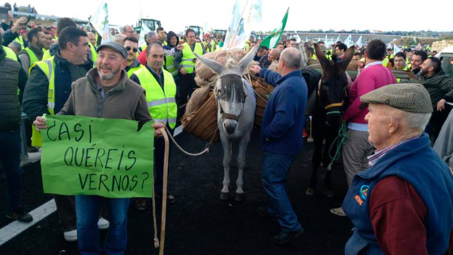 Paralizada la provincia