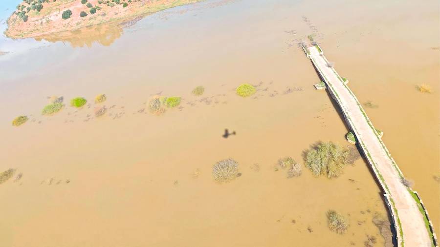 $!<i>Así está el Puente Ariza, si llueve, se colma entero.</i>