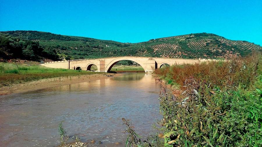 <i>Panorámica del puente Ariza aguas arriba, en donde se observan las riberas del río.</i>