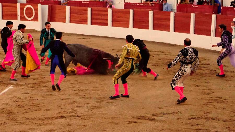 Javier Cortés sufre una cogida en el Coso de Santa Margarita