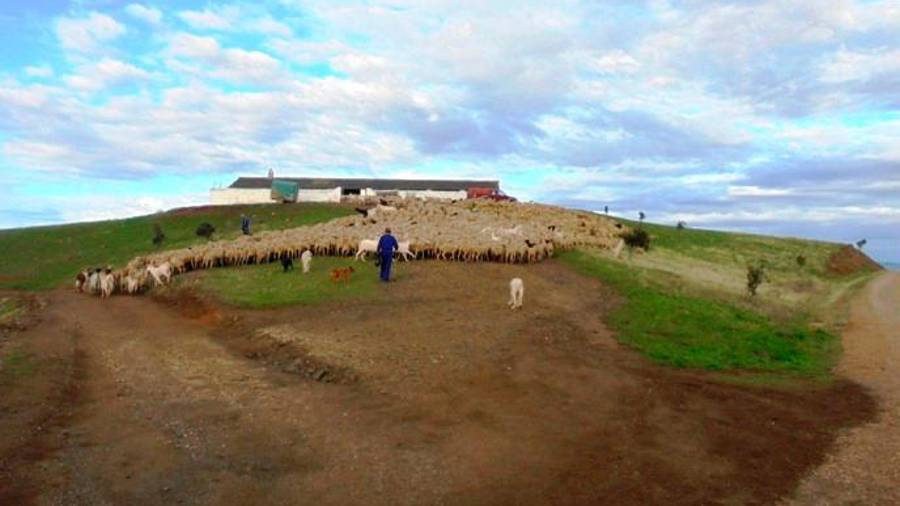 <i>Al fondo los corrales.</i>