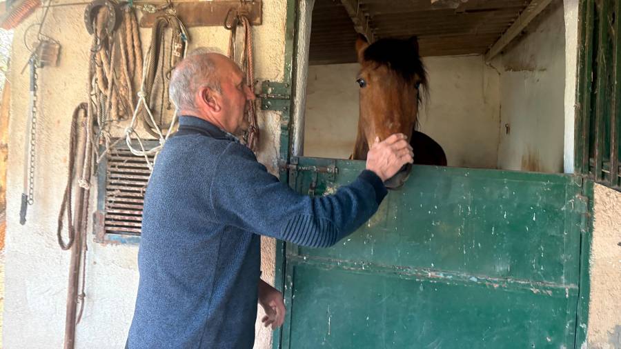 Patricio Sánchez, artesano y agricultor: “Mi pasión de siempre fue tener un caballo”