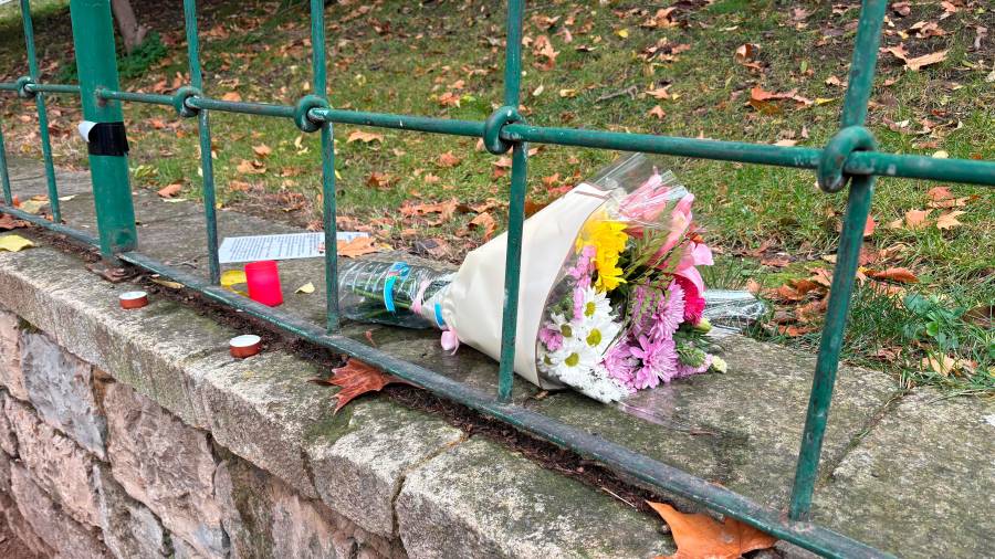 $!<i><b>LA CONCORDIA.</b></i><i> Flores en el parque.</i>