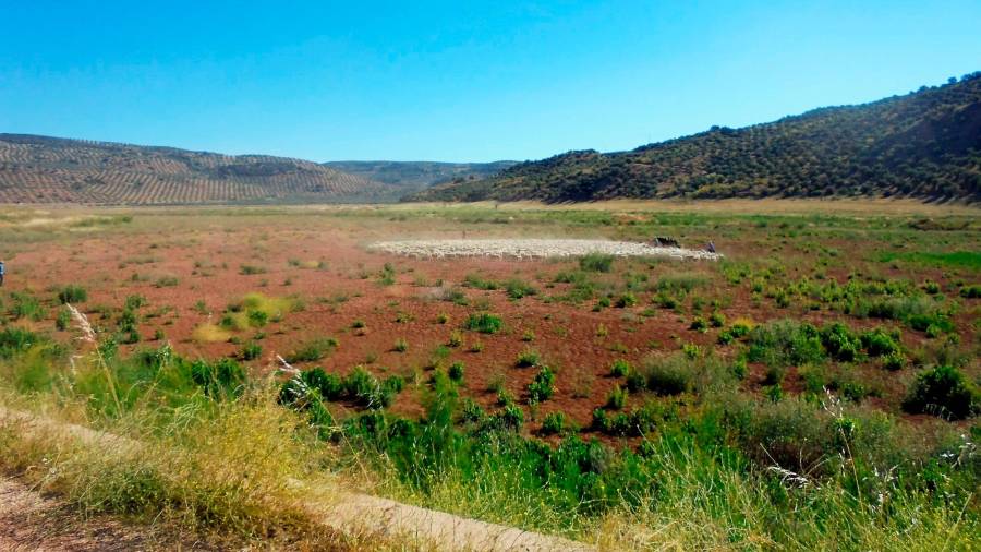 <i>El hato retenido en el embalse para evitar que se fueran al agua. </i>