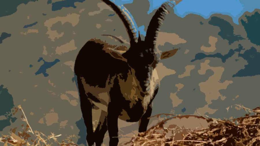 <i>Fotografía Esteban Ureña</i>