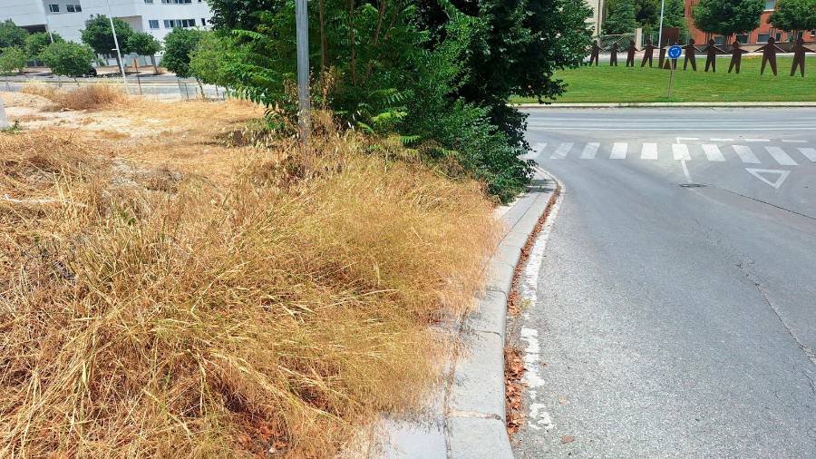 “Passo” traza un proyecto para mejorar la imagen de “El Valle”