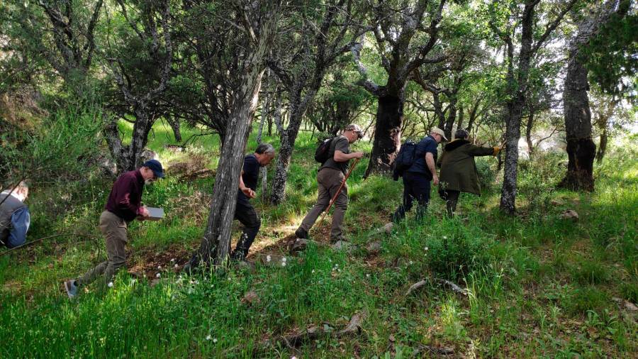 <i>Con Rosario Pardo al frente, la expedición del EnSueña Jaén 7, se dirige a la Cueva De los Muñecos.</i>
