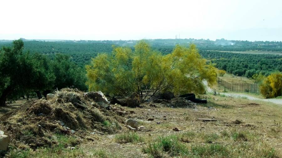 <i>Vista de la cañada (II).</i>