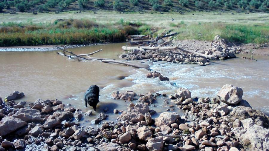 <i>Única zona existente en el río que podría servir de abrevadero, pero de dimensiones muy reducidas.</i>