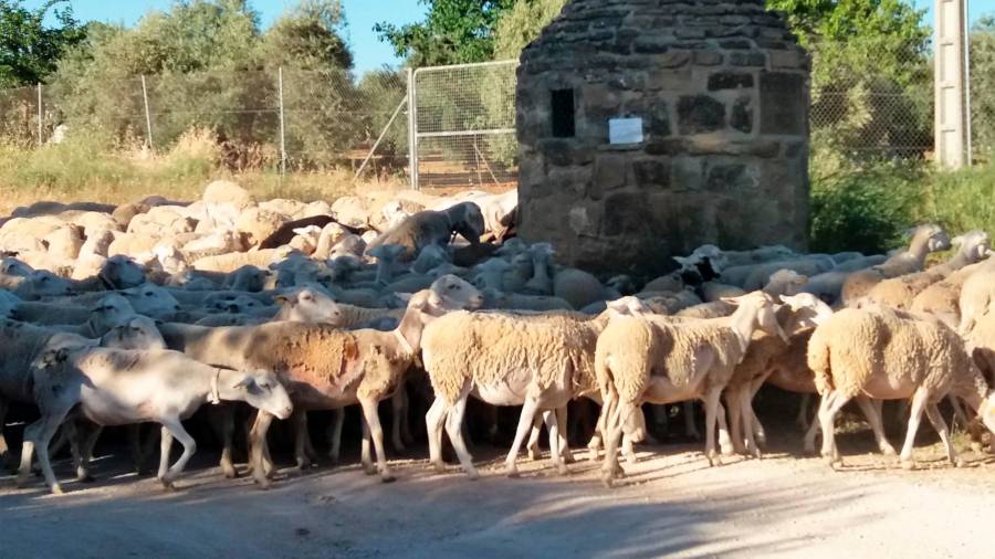 <i>El hato remolinándose alrededor del abrevadero (III).</i>