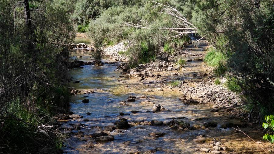 <i>A la izquierda el río Segura, al que le llega por la derecha el río Madera. / Diario JAÉN.</i>