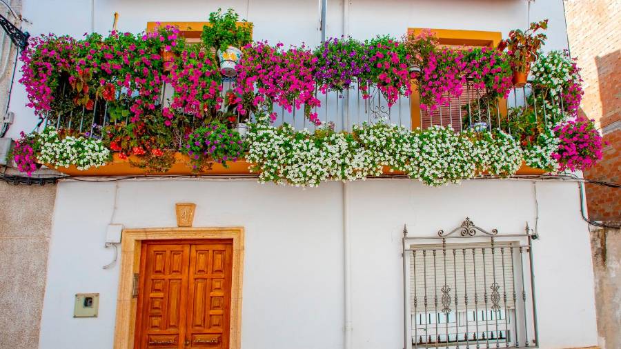 Lola Robles, cuidadora: “Siempre he encontrado una profunda satisfacción en ayudar a los demás”