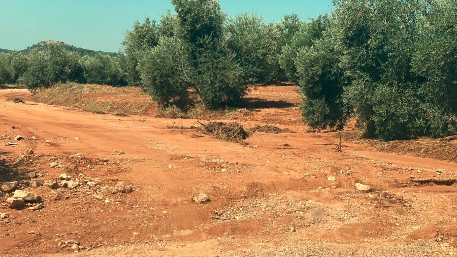 Siles: Uno de los principales afectados por las lluvias torrenciales