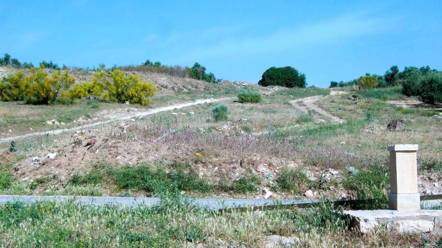 <i>Vista de la cañada. Se puede observar hito indicativo del Término Municipal de Sabiote.</i>