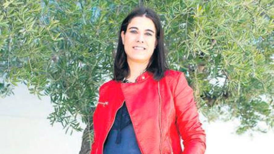 Mirlos blancos en el olivar