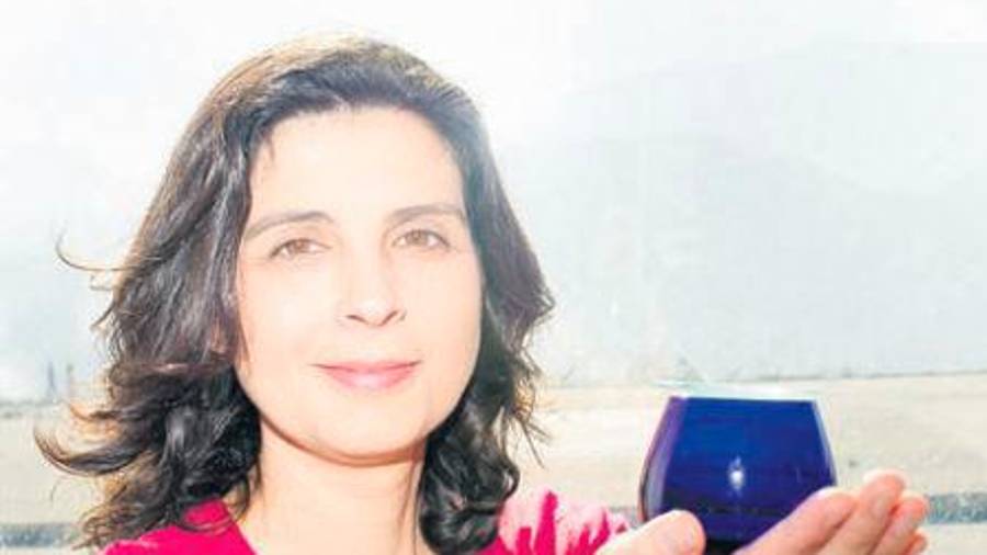 Mirlos blancos en el olivar