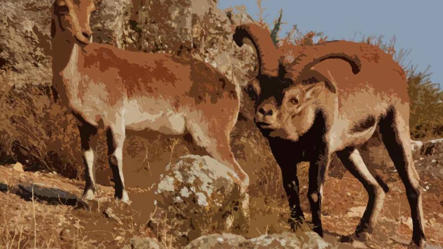 <i>Fotografía Esteban Ureña</i>