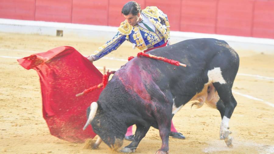 <i>Morante intenta ceñir la toro con la derecha.</i>