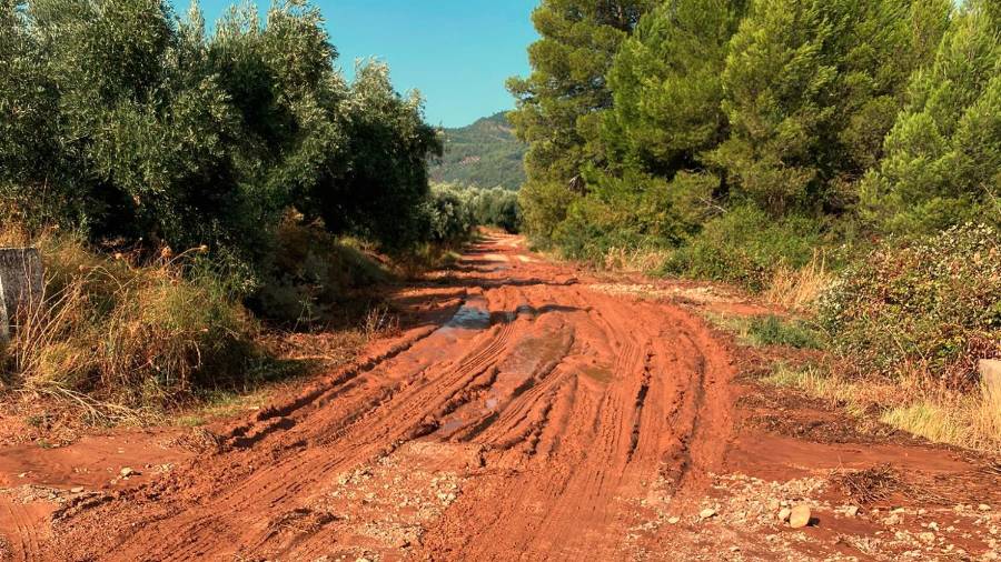 Siles: Uno de los principales afectados por las lluvias torrenciales