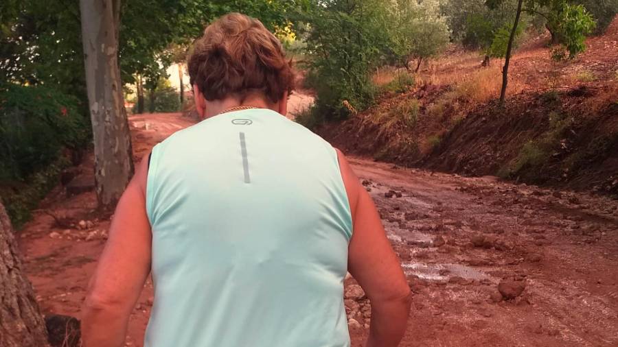 Siles: Uno de los principales afectados por las lluvias torrenciales