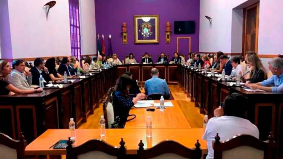 <i>Sesión plenaria en el Ayuntamiento de Jaén. / Archivo Diario JAÉN.</i>