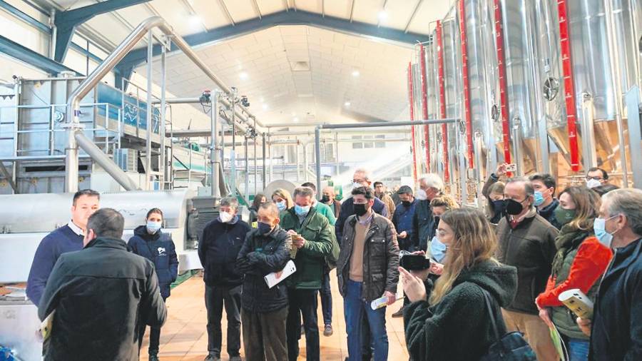 La almazara 4.0, a escena