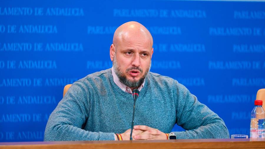 <i>Rodrigo Alonso, en la sala de prensa del Parlamento. / Joaquín Corchero / Europa Press.</i>