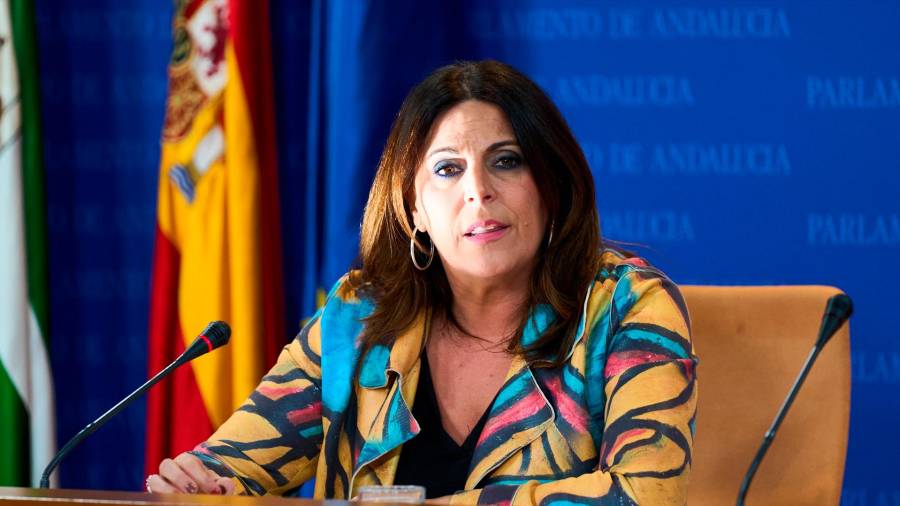 <i>Ángeles Férriz, este martes, en rueda de prensa. / Joaquín Corchero / Europa Press.</i>