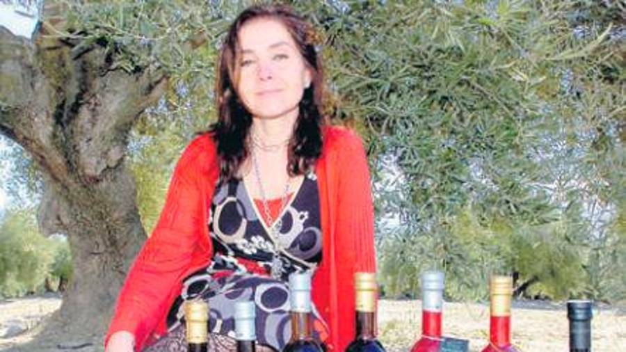 Mirlos blancos en el olivar